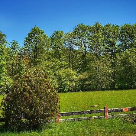 Penzion Peklo Jeseník Buitenkant foto